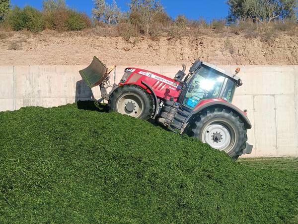 Tractor compactando forraje picado en un silo